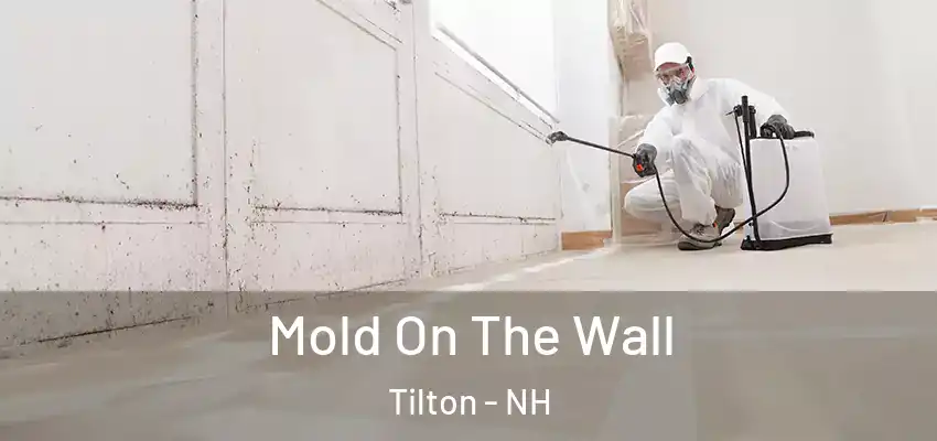 Mold On The Wall Tilton - NH