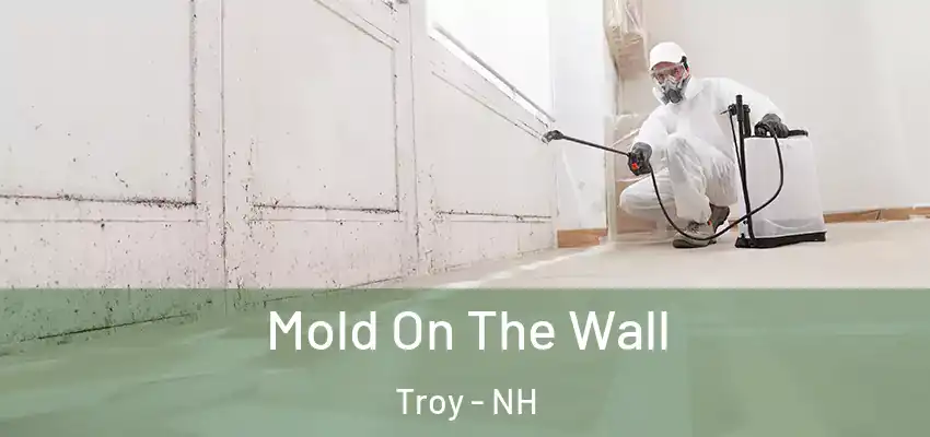  Mold On The Wall Troy - NH