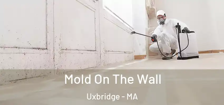  Mold On The Wall Uxbridge - MA