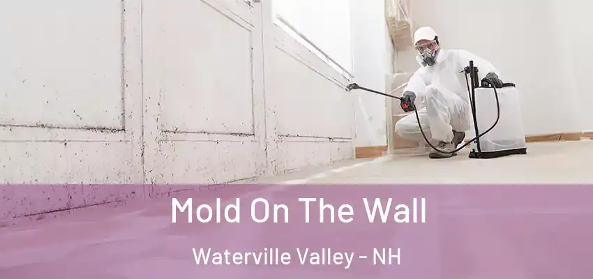  Mold On The Wall Waterville Valley - NH