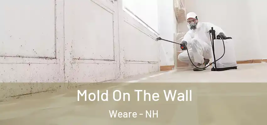 Mold On The Wall Weare - NH