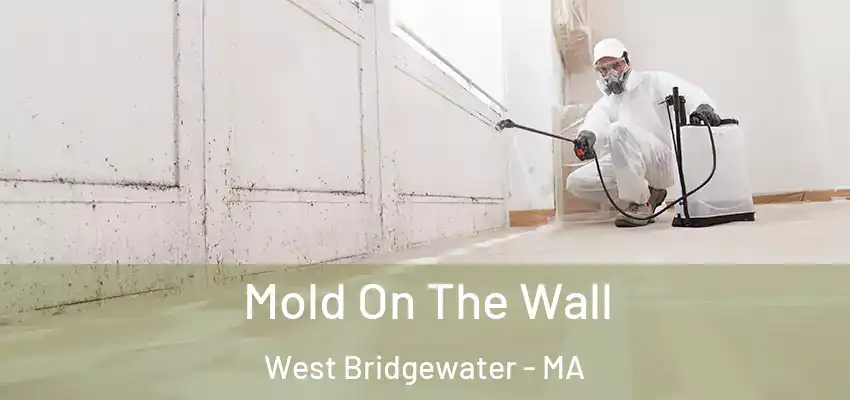 Mold On The Wall West Bridgewater - MA