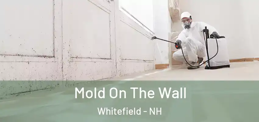 Mold On The Wall Whitefield - NH