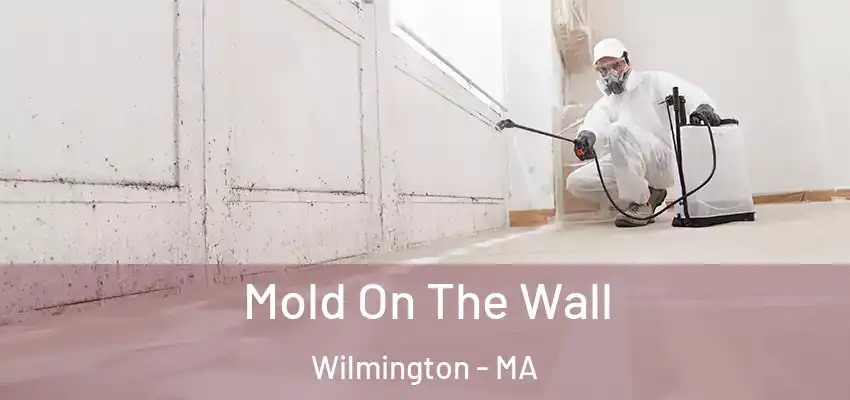  Mold On The Wall Wilmington - MA