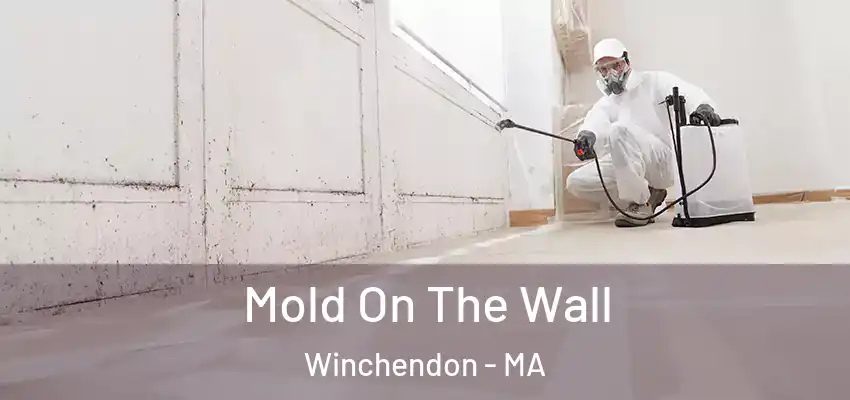  Mold On The Wall Winchendon - MA