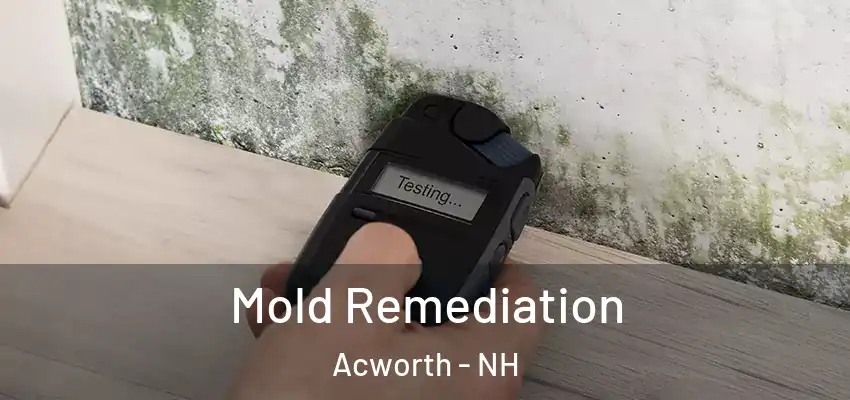 Mold Remediation Acworth - NH