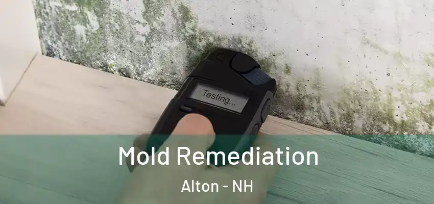  Mold Remediation Alton - NH