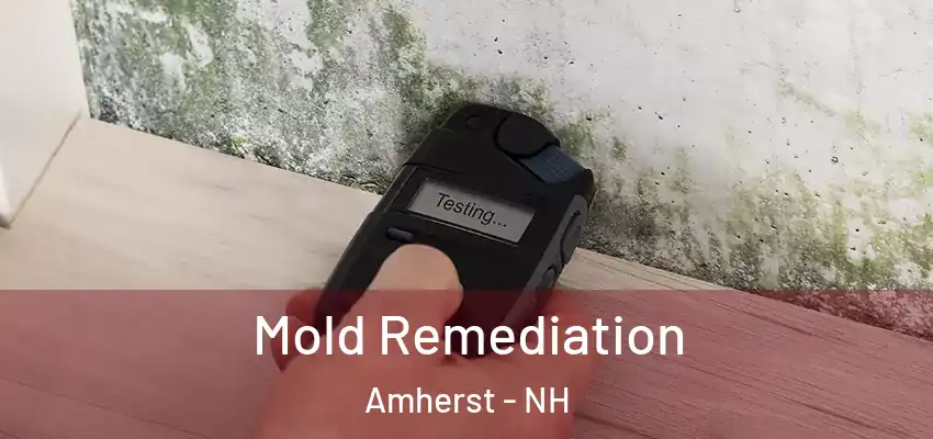Mold Remediation Amherst - NH