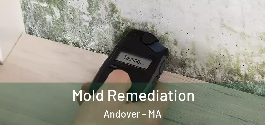  Mold Remediation Andover - MA