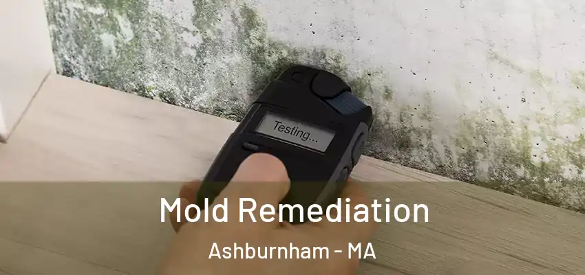 Mold Remediation Ashburnham - MA