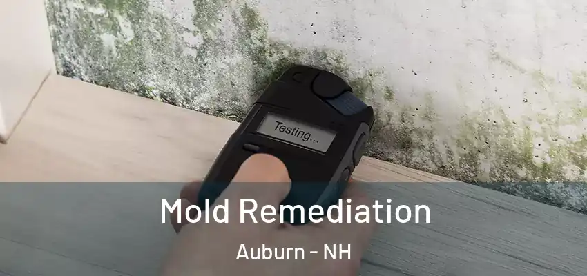  Mold Remediation Auburn - NH