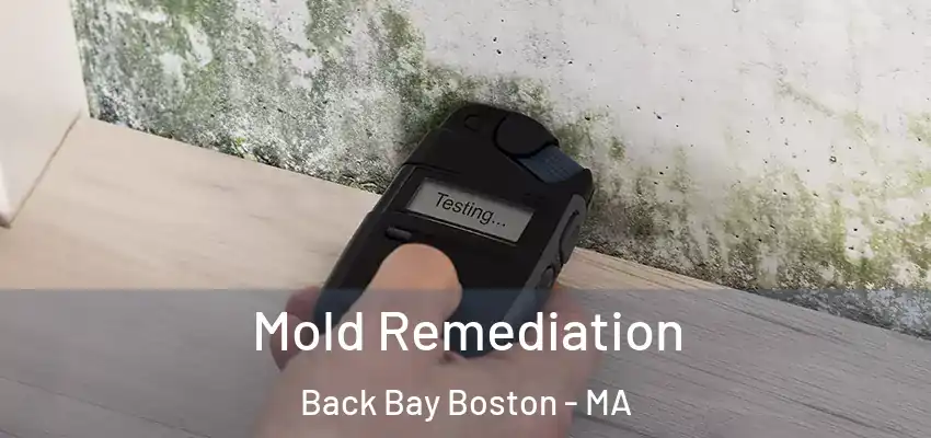  Mold Remediation Back Bay Boston - MA