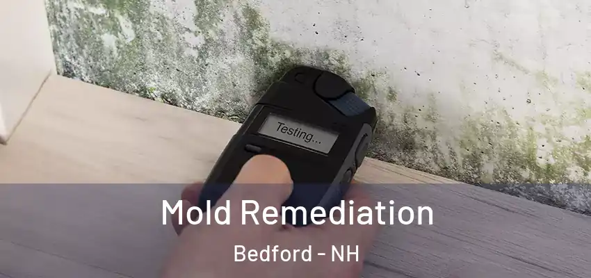 Mold Remediation Bedford - NH