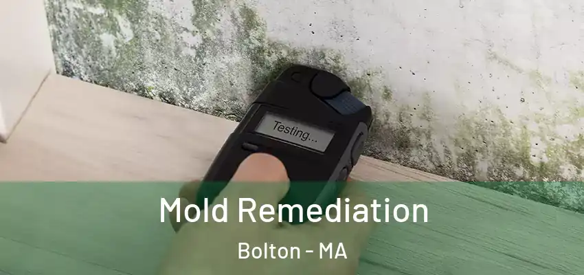Mold Remediation Bolton - MA