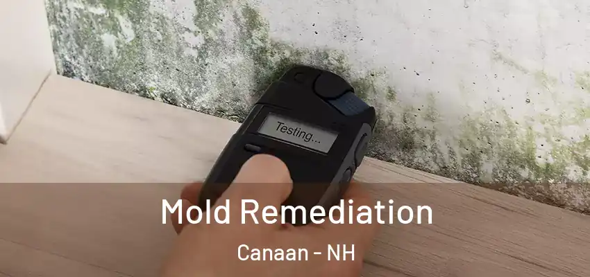 Mold Remediation Canaan - NH