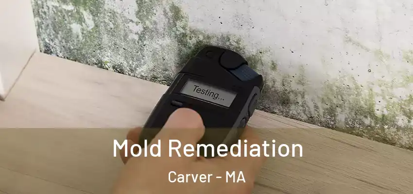Mold Remediation Carver - MA