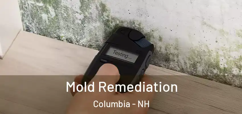  Mold Remediation Columbia - NH