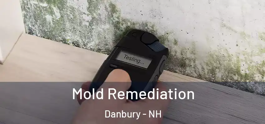Mold Remediation Danbury - NH