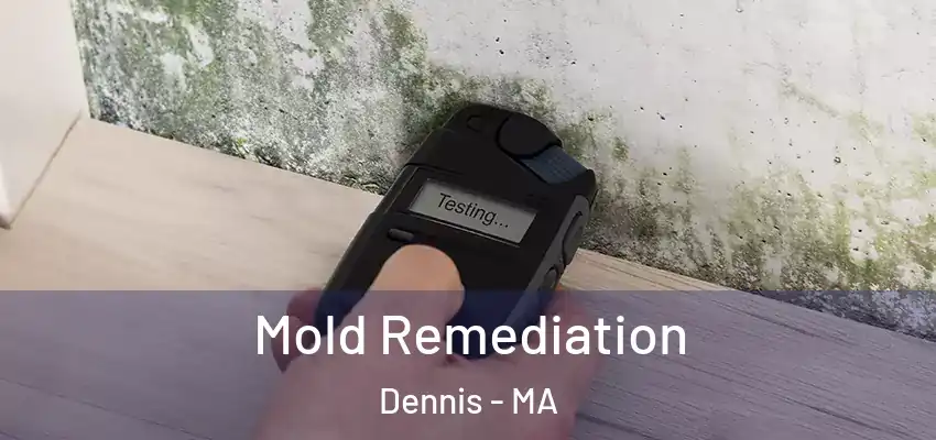 Mold Remediation Dennis - MA