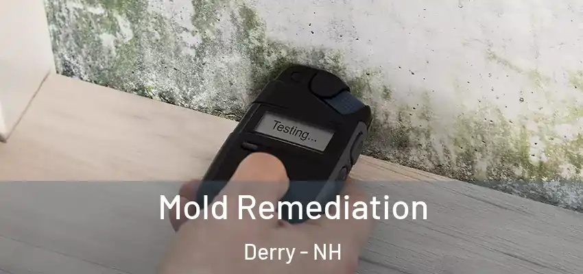  Mold Remediation Derry - NH