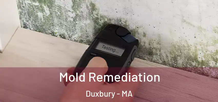  Mold Remediation Duxbury - MA