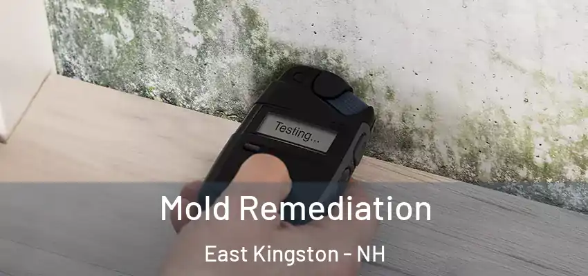 Mold Remediation East Kingston - NH