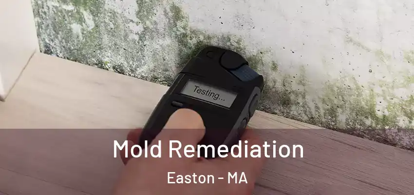  Mold Remediation Easton - MA