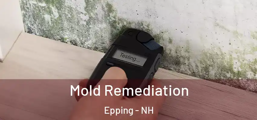  Mold Remediation Epping - NH