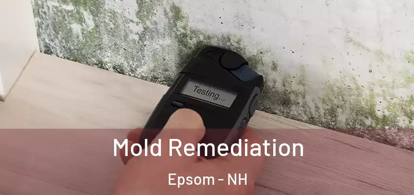  Mold Remediation Epsom - NH