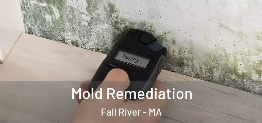 Mold Remediation Fall River - MA