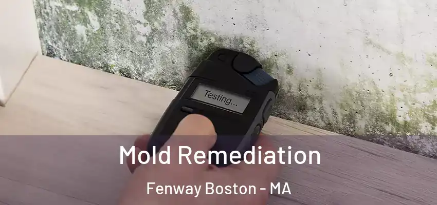  Mold Remediation Fenway Boston - MA