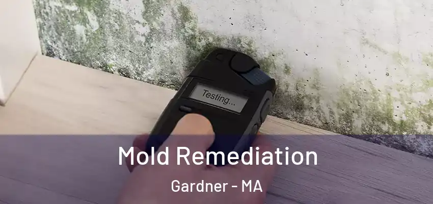  Mold Remediation Gardner - MA