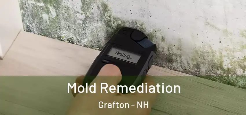  Mold Remediation Grafton - NH
