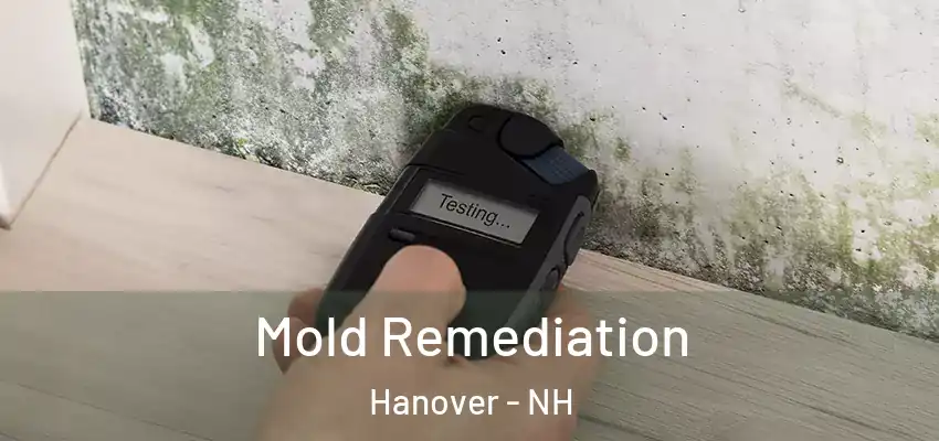  Mold Remediation Hanover - NH