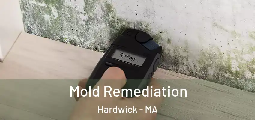  Mold Remediation Hardwick - MA