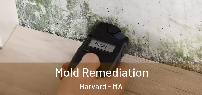Mold Remediation Harvard - MA