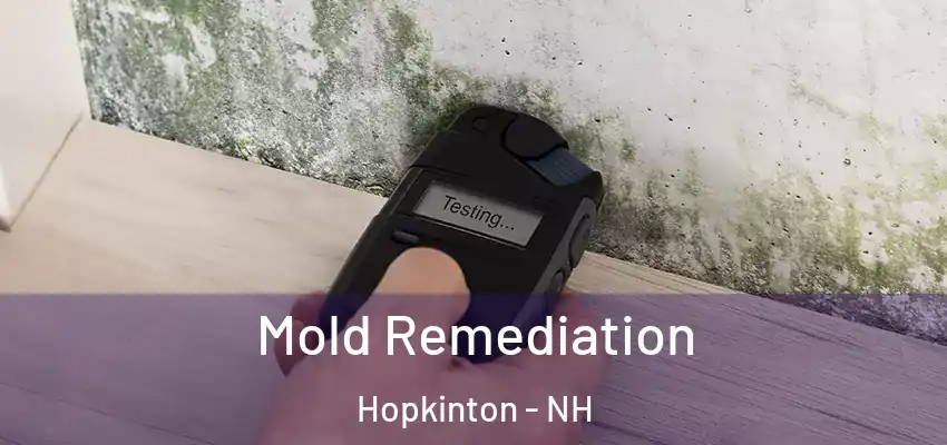  Mold Remediation Hopkinton - NH