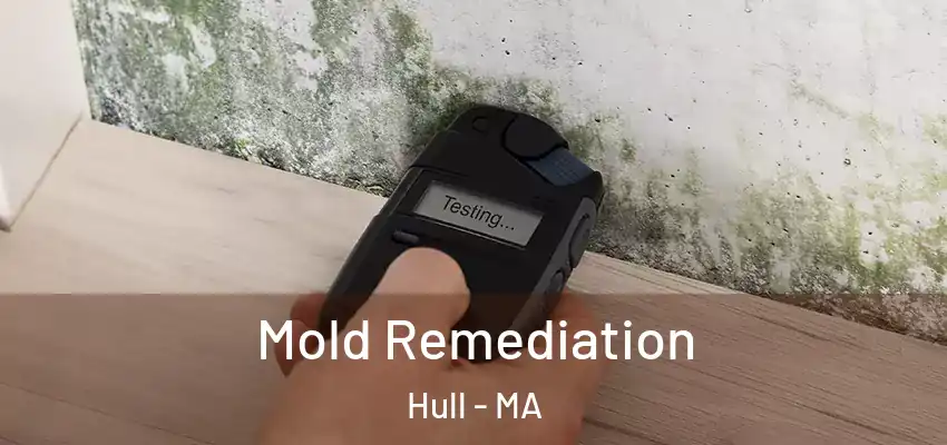 Mold Remediation Hull - MA