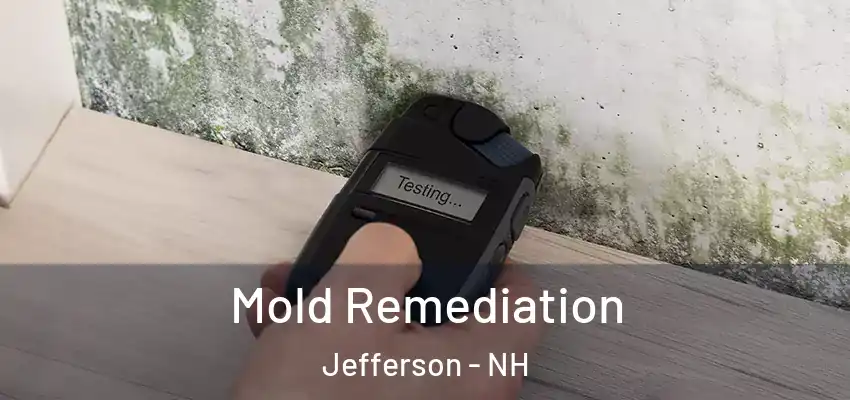  Mold Remediation Jefferson - NH