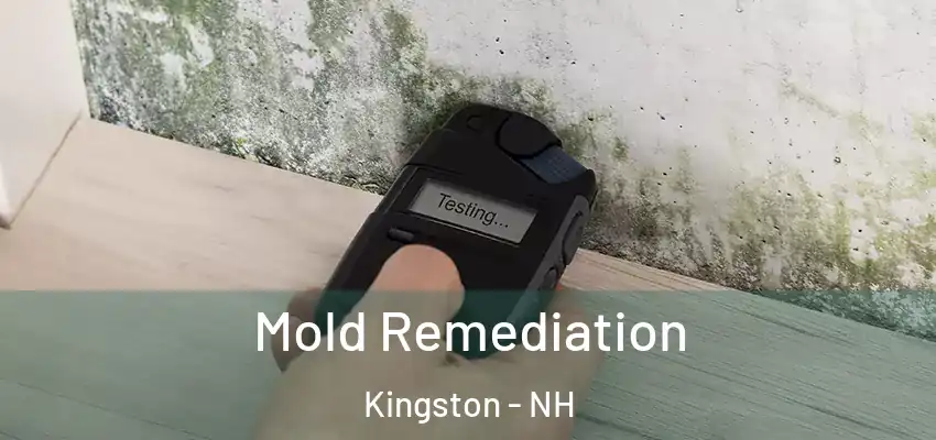 Mold Remediation Kingston - NH