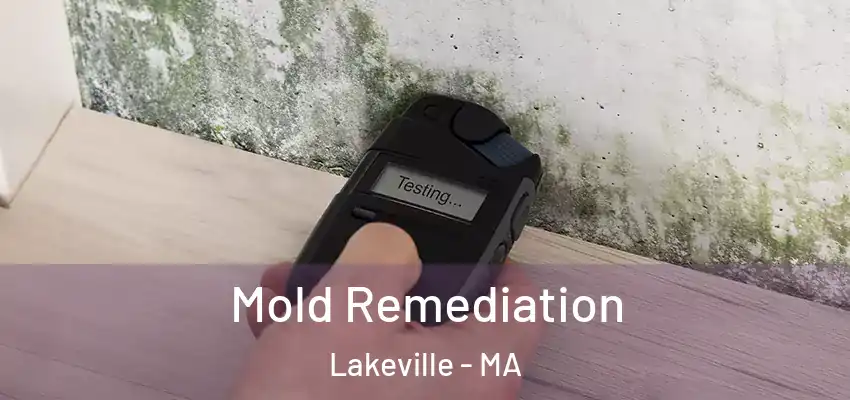  Mold Remediation Lakeville - MA