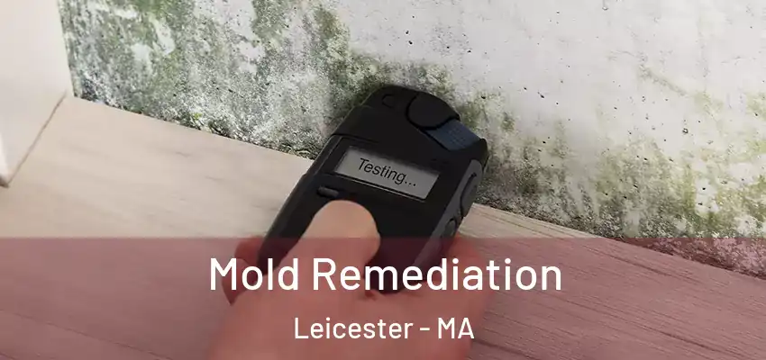 Mold Remediation Leicester - MA
