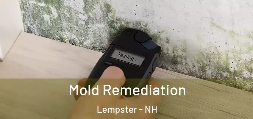 Mold Remediation Lempster - NH