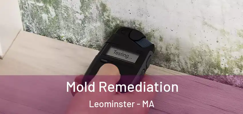 Mold Remediation Leominster - MA