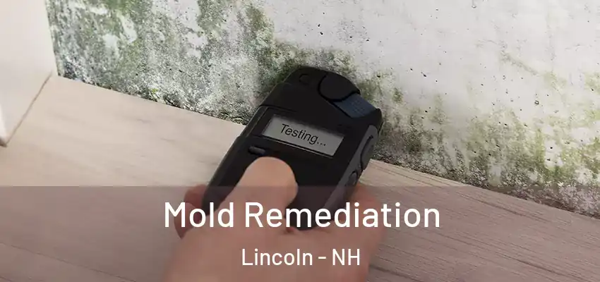 Mold Remediation Lincoln - NH