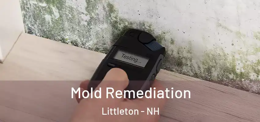 Mold Remediation Littleton - NH