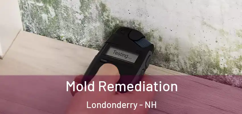  Mold Remediation Londonderry - NH