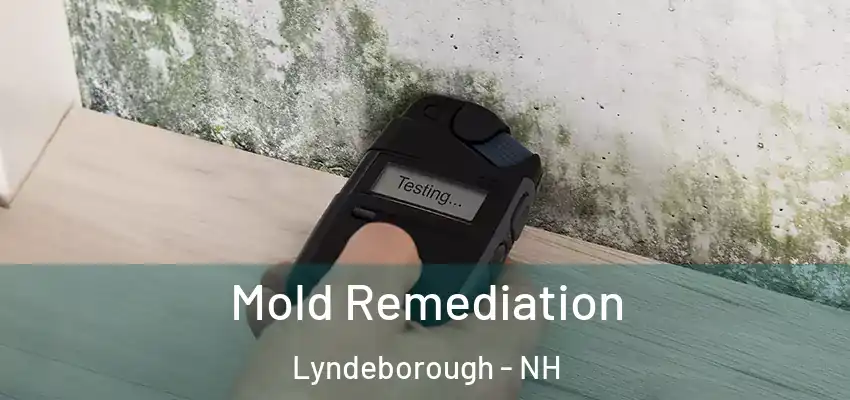 Mold Remediation Lyndeborough - NH