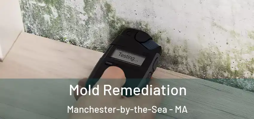  Mold Remediation Manchester-by-the-Sea - MA
