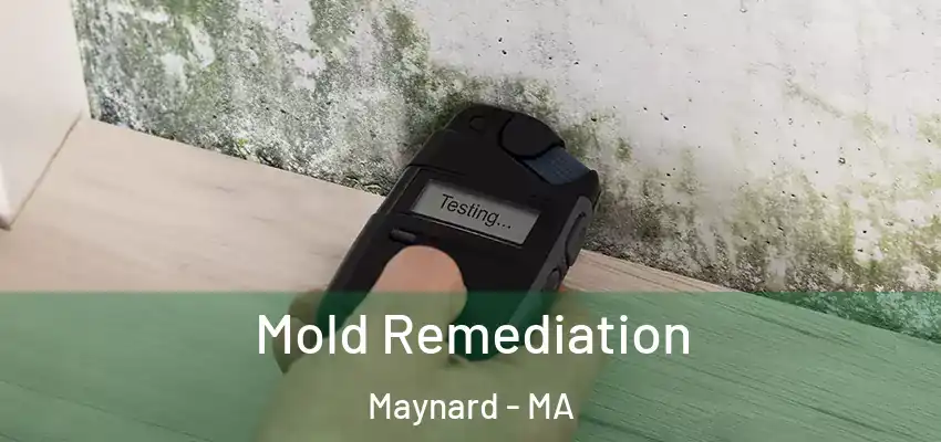  Mold Remediation Maynard - MA